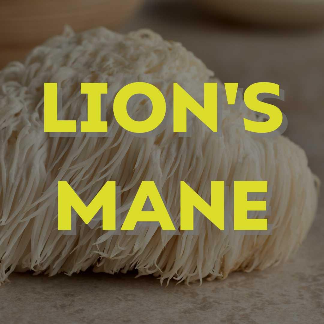 Lion's Mane -Oerjongens - Oerjongens