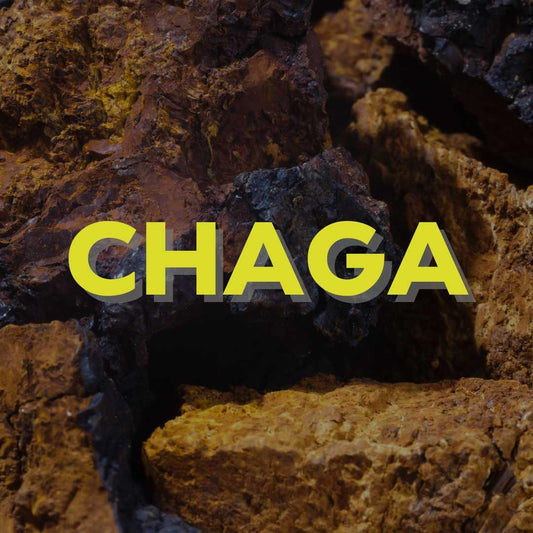 Chaga - Oerjongens - Oerjongens