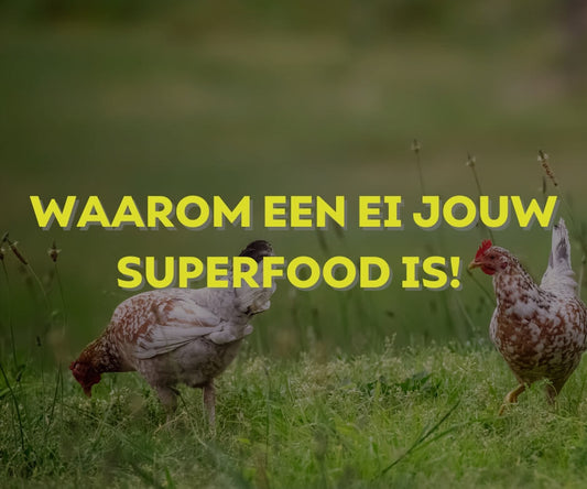 Waarom een ei jouw superfood is! - Oerjongens