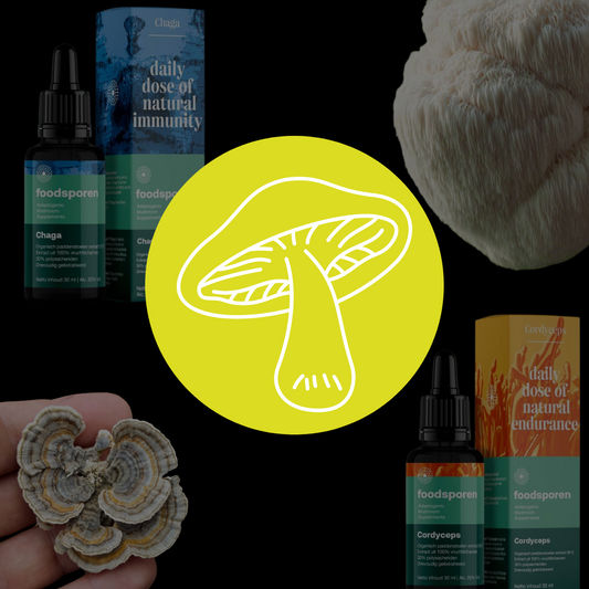 Medicinale Paddenstoelen en hun Werking - Oerjongens