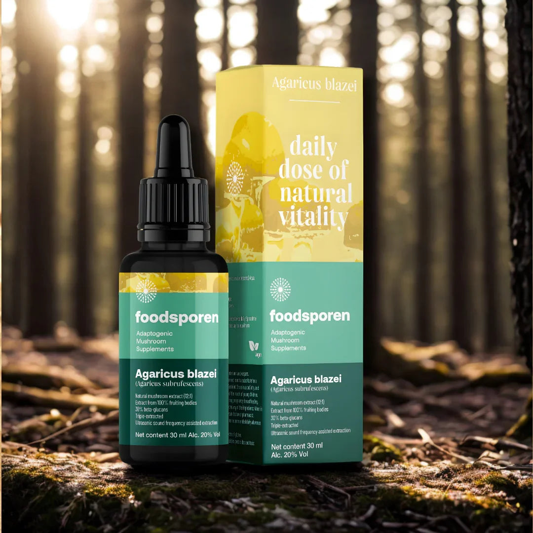 De paddenstoel van de goden – nu in krachtige tinctuur