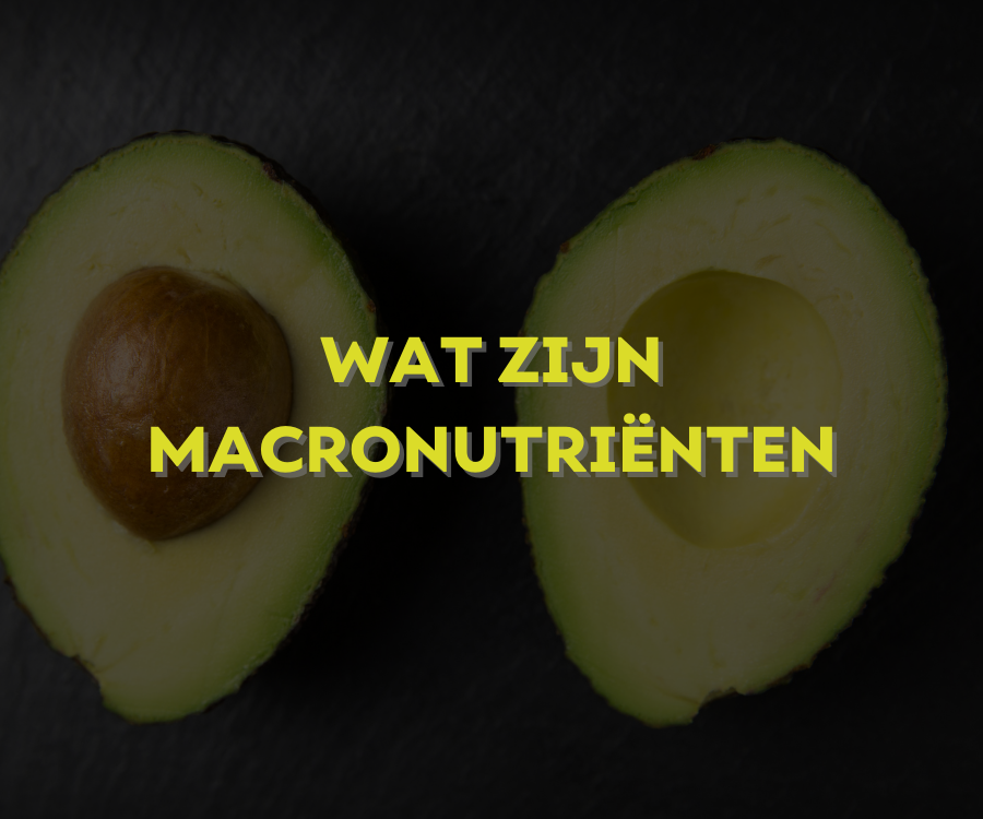 Wat zijn macronutriënten?