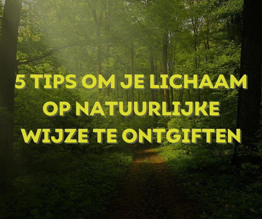 Vijf natuurlijke tips om je lichaam te ondersteunen bij ontgiften
