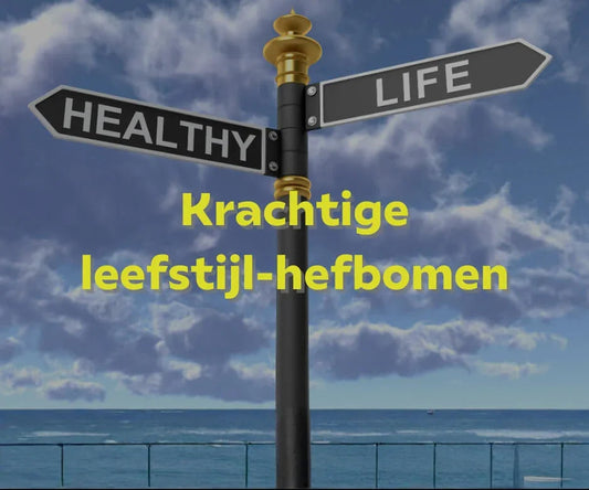 Leefstijl hefbomen voor energie rust en kracht