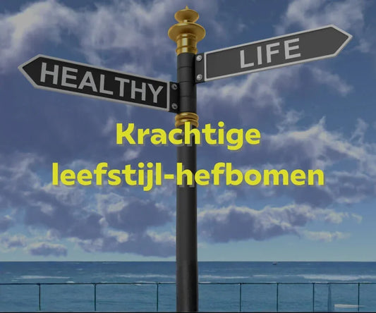 Krachtige leefstijl-hefbomen voor meer energie, rust en kracht