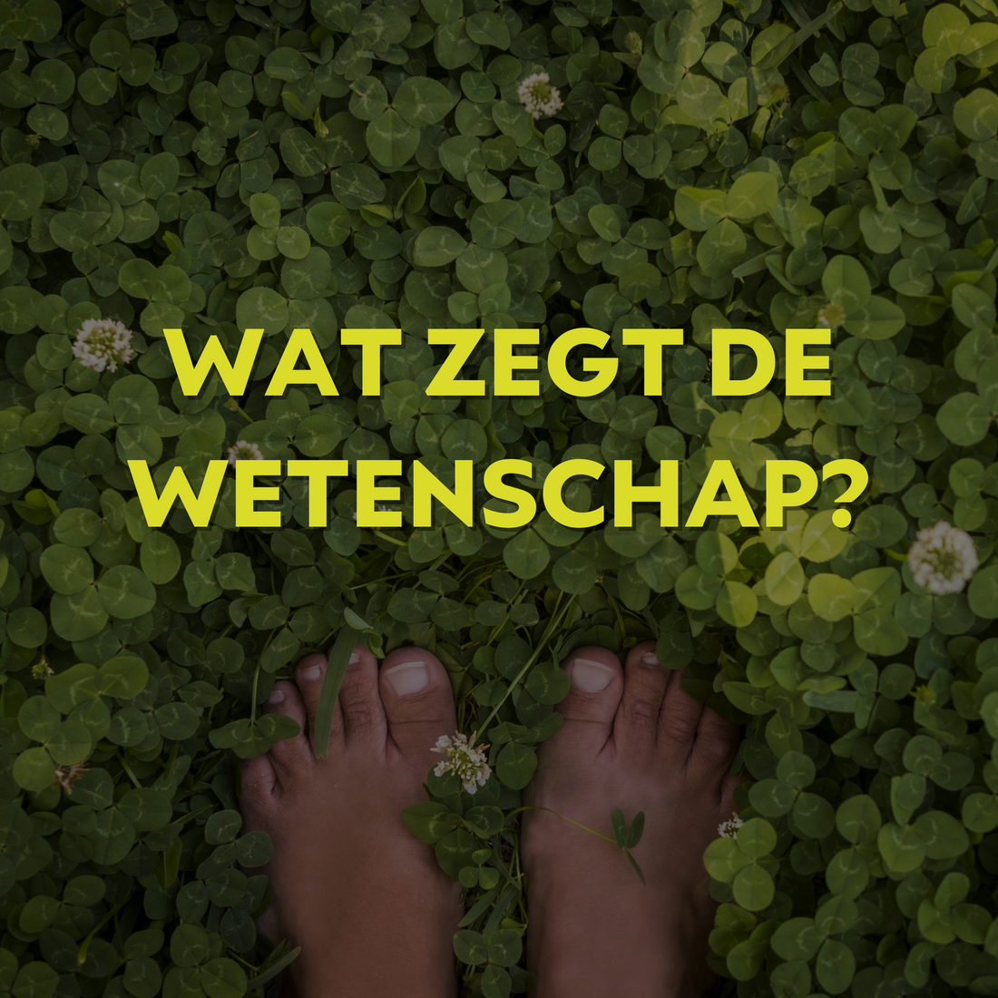 Wetenschap en onderzoek naar aarden of earthing