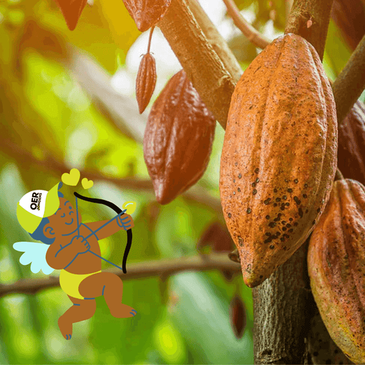 Cupido zijn geheime wapen: de verborgen krachten van pure cacao - Oerjongens