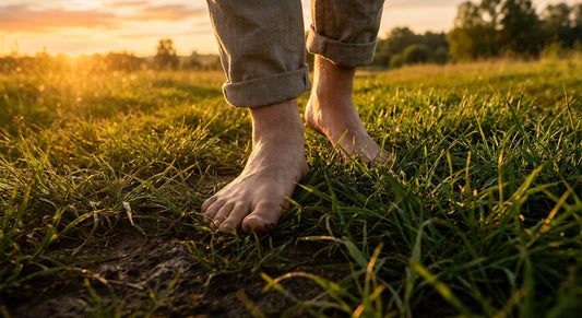 Bare feet resting on green grass at golden hour, symbolizing the practice of earthing and grounding in nature.