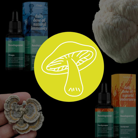 Medicinale paddenstoelen en hun werking