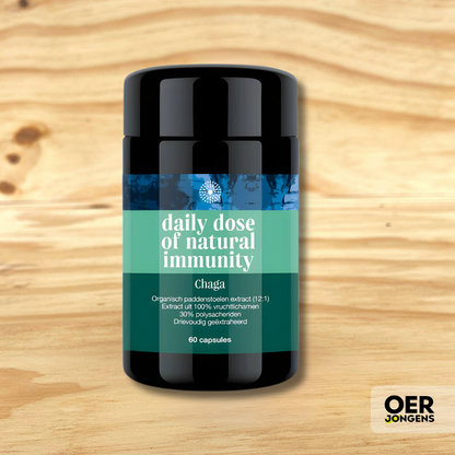 Chaga capsules van Foodsporen – krachtig 12:1 extract met 30% polysachariden.