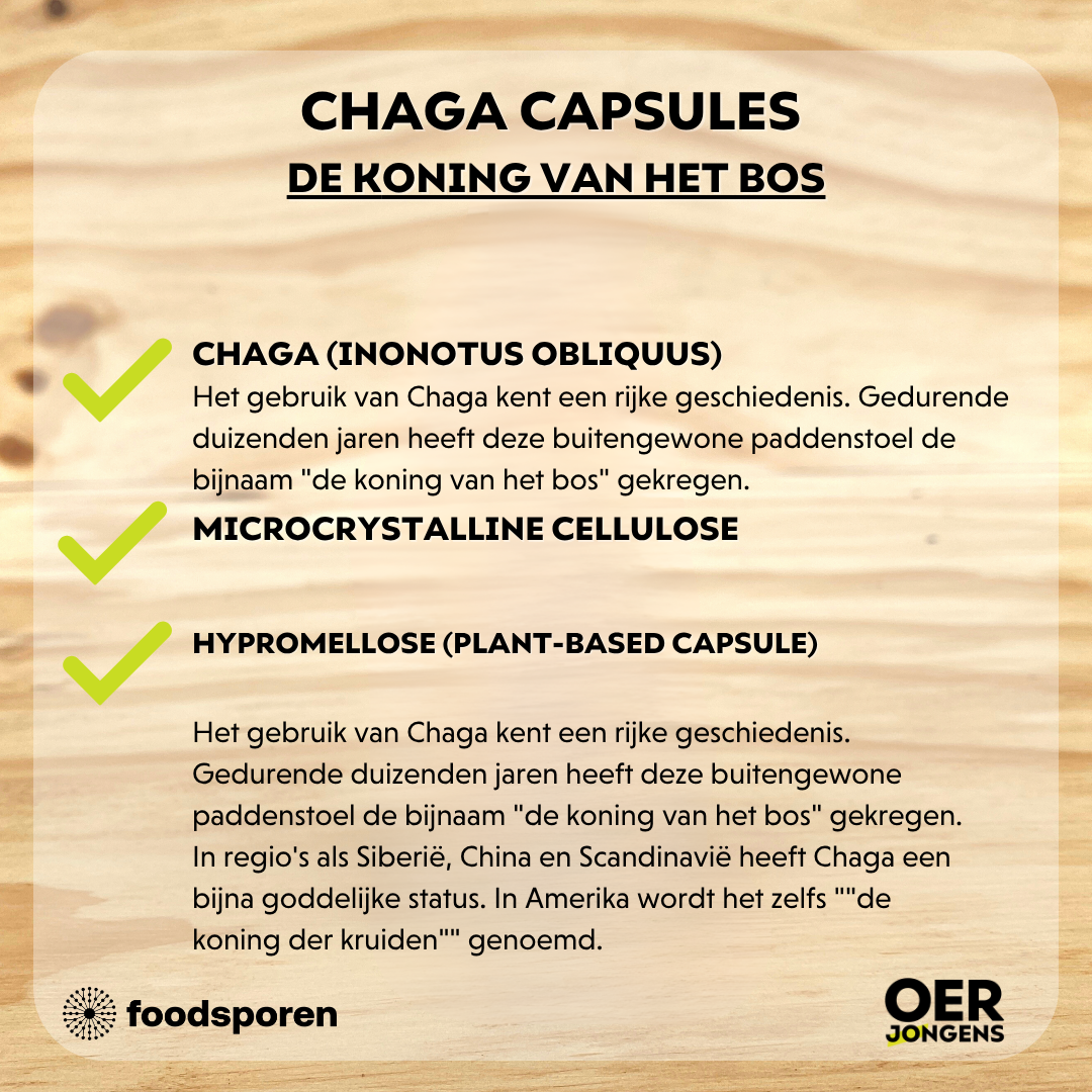 Chaga capsules van Foodsporen – krachtig 12:1 extract met 30% polysachariden. Ondersteunt immuunsysteem, celdeling & vitaliteit. 100% vruchtlichamen.