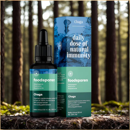 Hoogwaardig Chaga-extract