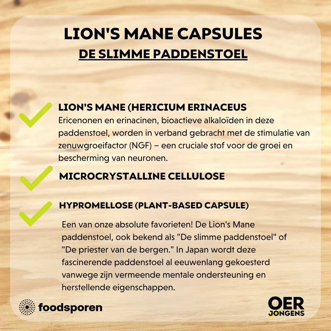 Foodsporen Lion’s Mane Capsules